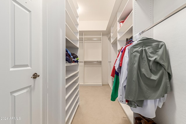 spacious closet with light carpet