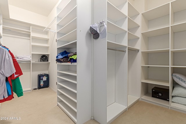 spacious closet featuring light colored carpet