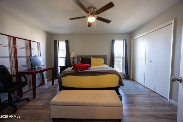 bedroom with ceiling fan, a closet, dark hardwood / wood-style floors, and multiple windows