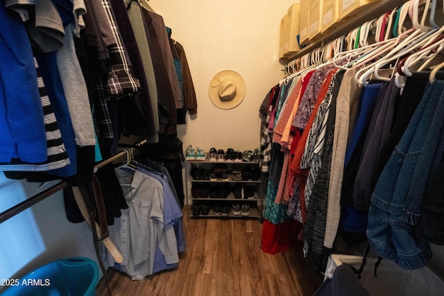 walk in closet featuring hardwood / wood-style flooring