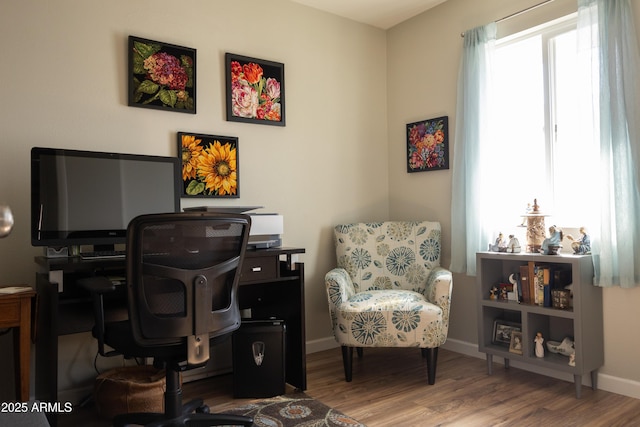 office space featuring wood-type flooring