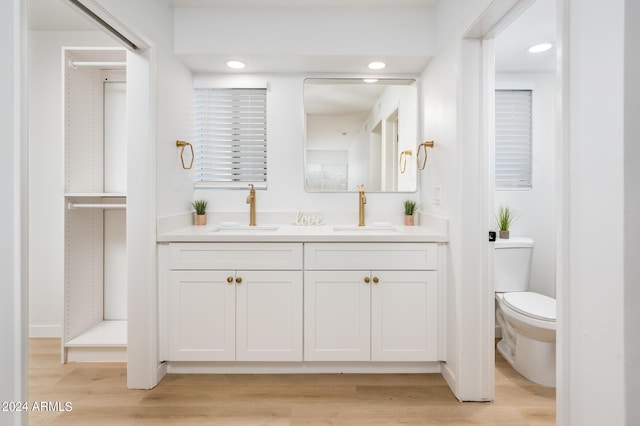 bathroom with vanity, wood-type flooring, and toilet