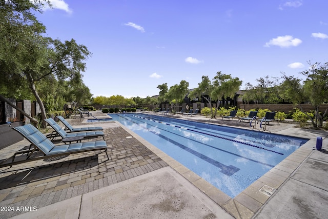 view of swimming pool with a patio area