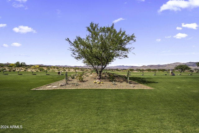 surrounding community featuring a mountain view, a yard, and a rural view