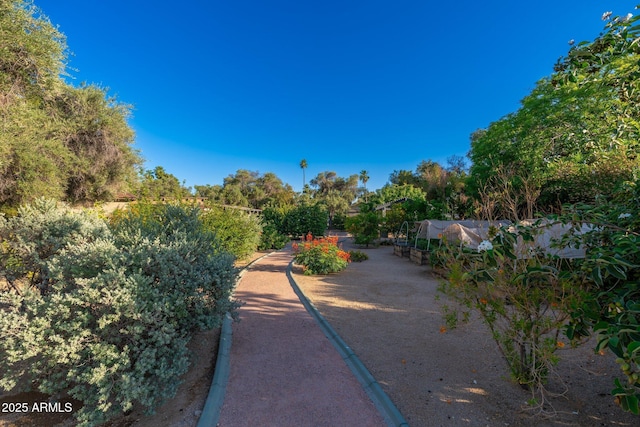 7223 N 14th St, Phoenix, AZ 85020 - view of yard