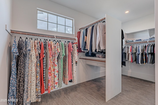 walk in closet with hardwood / wood-style floors