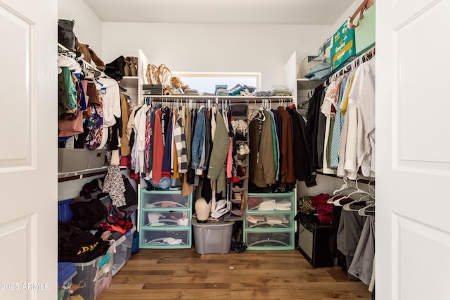 walk in closet featuring wood finished floors