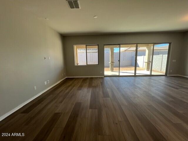 spare room featuring plenty of natural light and dark wood-type flooring