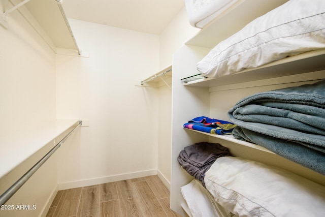 6831 S Coral Gable Dr, Chandler, AZ 85249 - walk in closet with light wood-style flooring