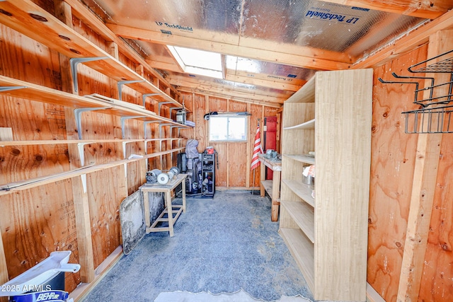 storage area featuring a skylight