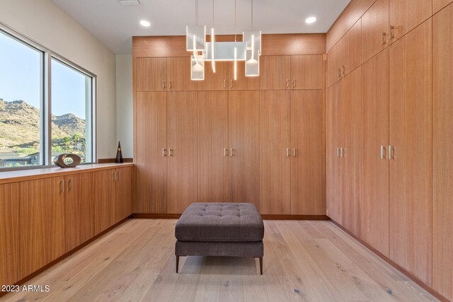 unfurnished room featuring light hardwood / wood-style floors and a wealth of natural light