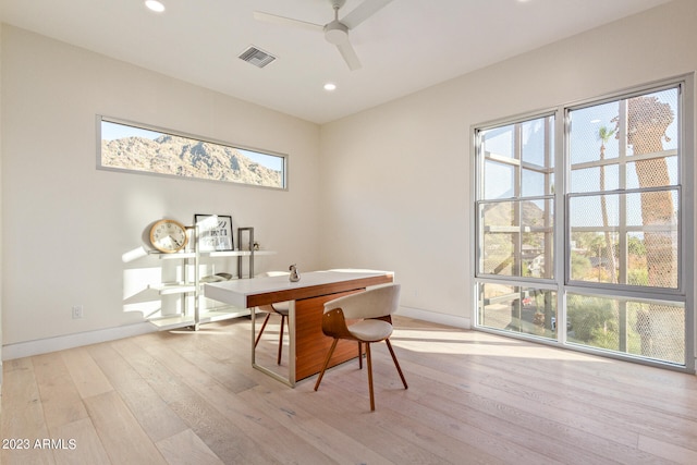 office featuring ceiling fan, a healthy amount of sunlight, and light hardwood / wood-style flooring