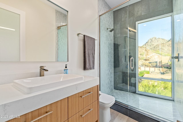 bathroom with a shower with door, toilet, vanity, and wood-type flooring