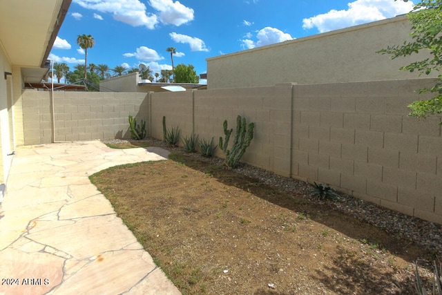 view of yard with a patio