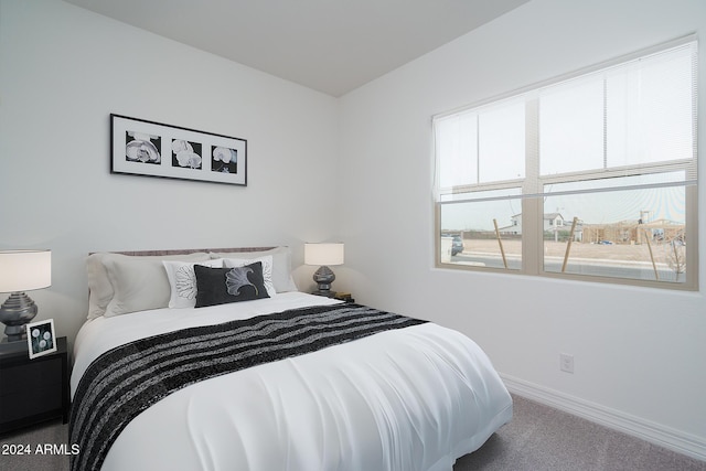 bedroom with carpet flooring