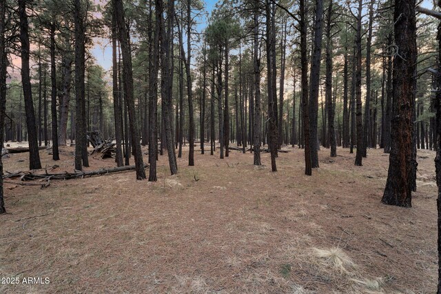 view of local wilderness