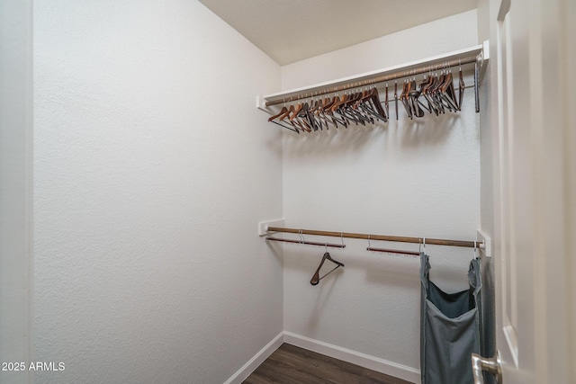 walk in closet with dark wood-style flooring