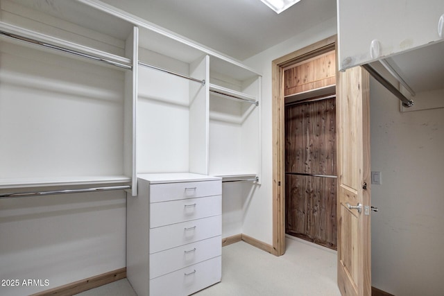 walk in closet with light colored carpet