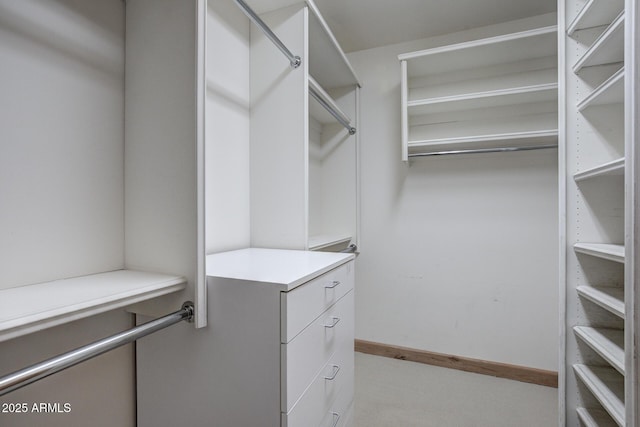 view of spacious closet