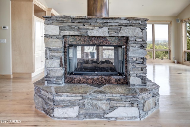 room details with wood-type flooring and a stone fireplace