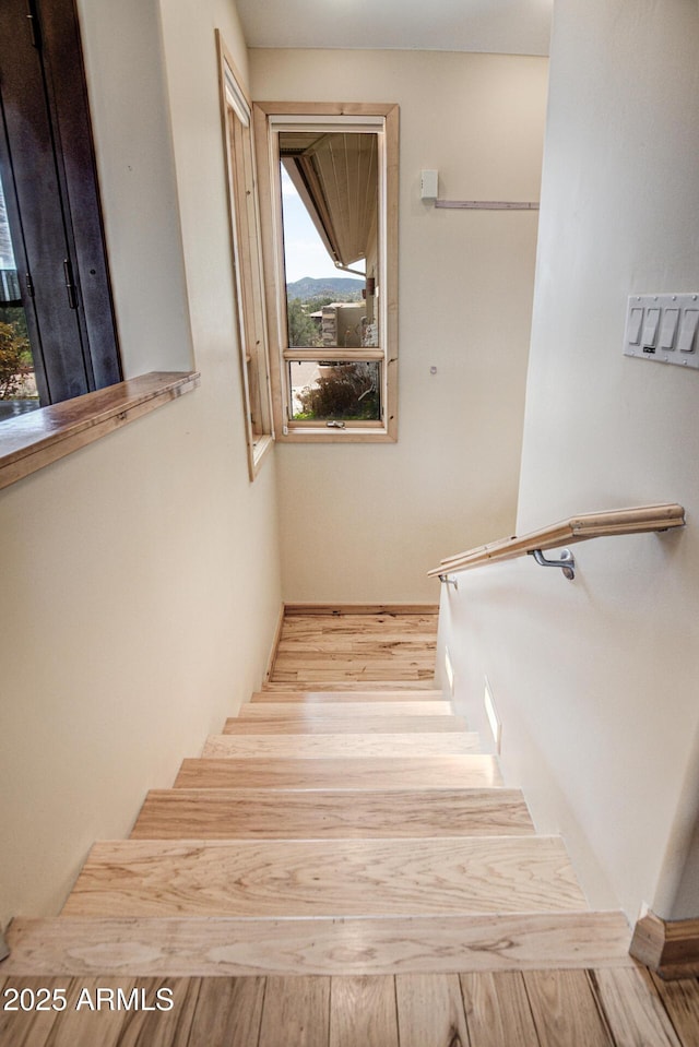 stairs with hardwood / wood-style floors