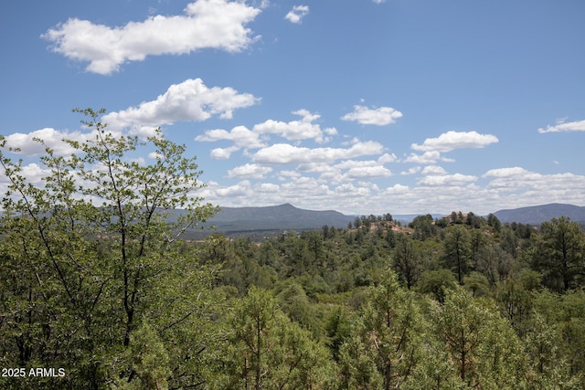 property view of mountains