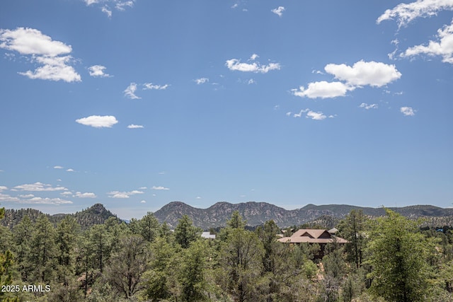 view of mountain feature