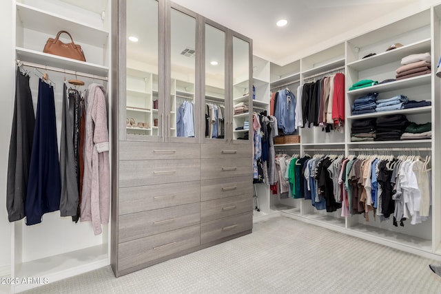 spacious closet with carpet floors