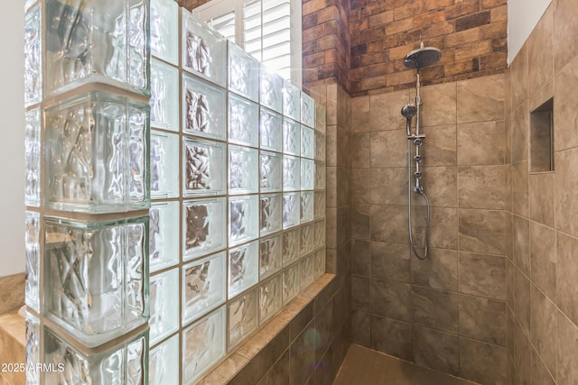 10417 N 180th Dr, Waddell, AZ 85355 - bathroom with walk in shower