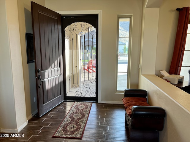 foyer featuring wood tiled floor, a healthy amount of sunlight, and baseboards