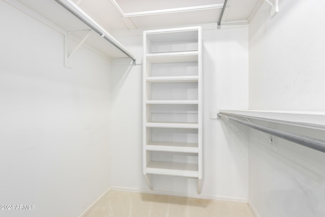 spacious closet featuring carpet