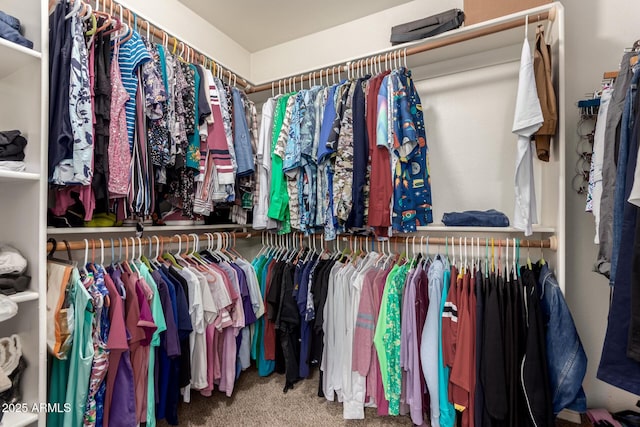 walk in closet with carpet floors