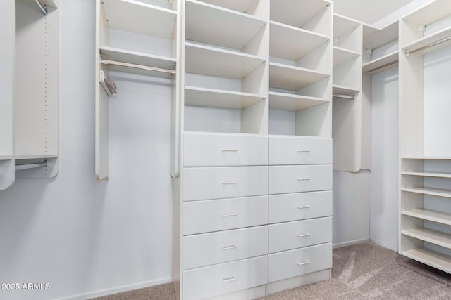 spacious closet featuring light colored carpet