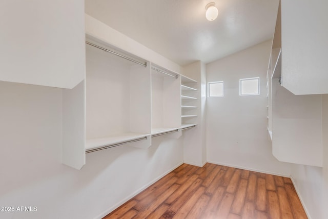 spacious closet featuring wood finished floors