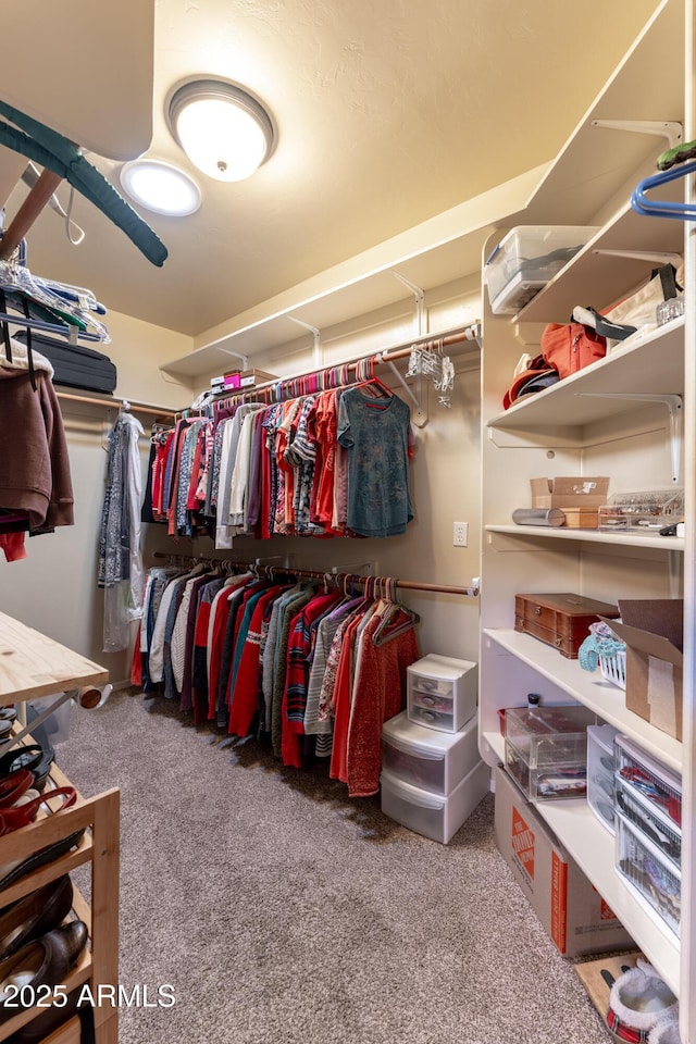 walk in closet featuring carpet flooring