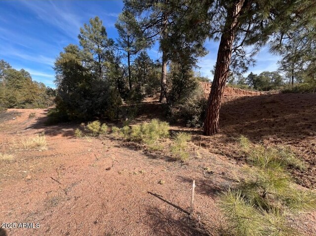 201 S Thunder Mtn Unit 32, Payson AZ, 85541 land for sale