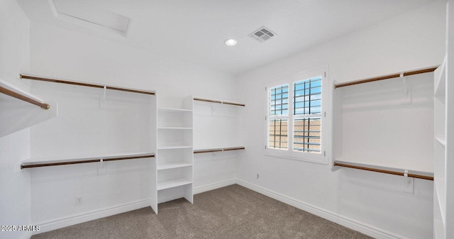 spacious closet featuring carpet