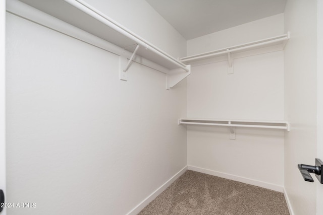 spacious closet with carpet flooring