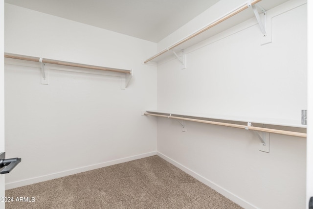 spacious closet with carpet floors