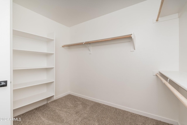 walk in closet with carpet