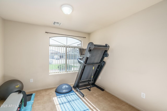 workout room with light carpet