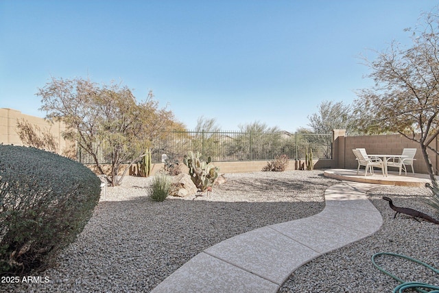 view of yard with a patio and a fenced backyard