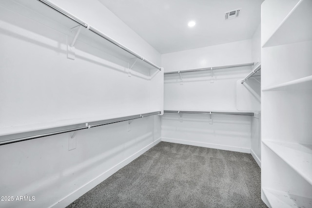 walk in closet with carpet flooring