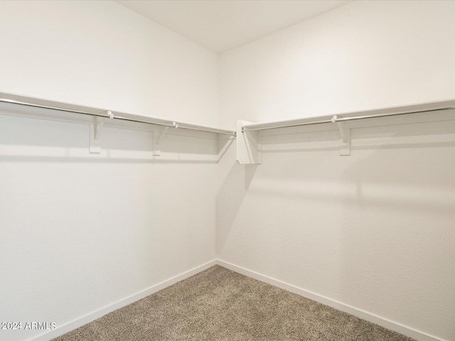 spacious closet with carpet floors