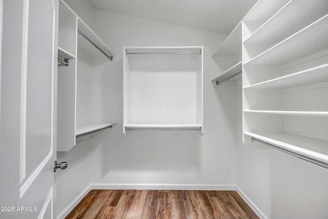 12441 W Windsor Blvd, Litchfield Park, AZ 85340 - walk in closet with wood finished floors