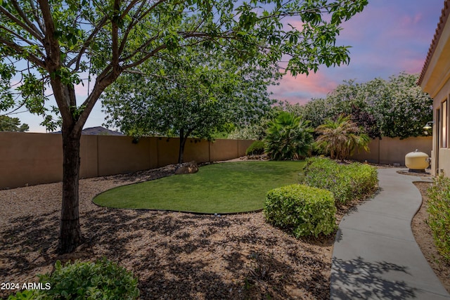 view of yard at dusk