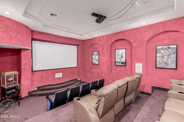 cinema room with a raised ceiling and carpet