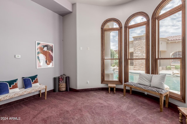 living area featuring carpet floors