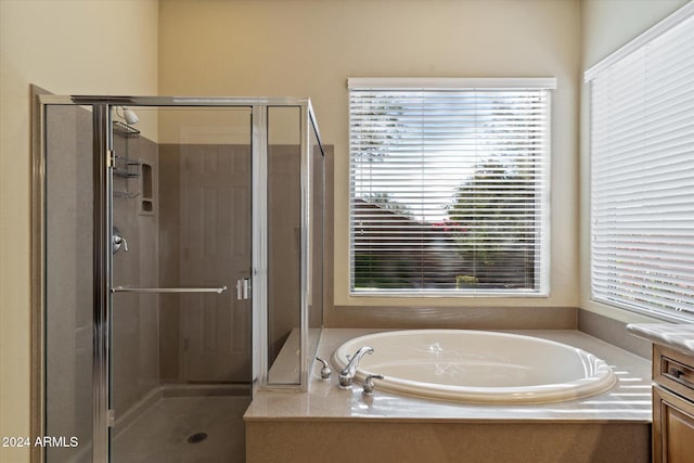 bathroom featuring vanity and independent shower and bath