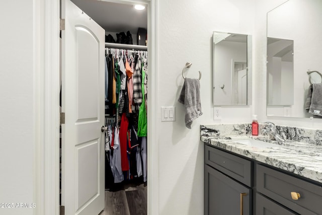 bathroom featuring hardwood / wood-style flooring and vanity